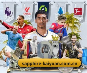 开元世界杯专题 APP（Kaiyuan WorldCup）